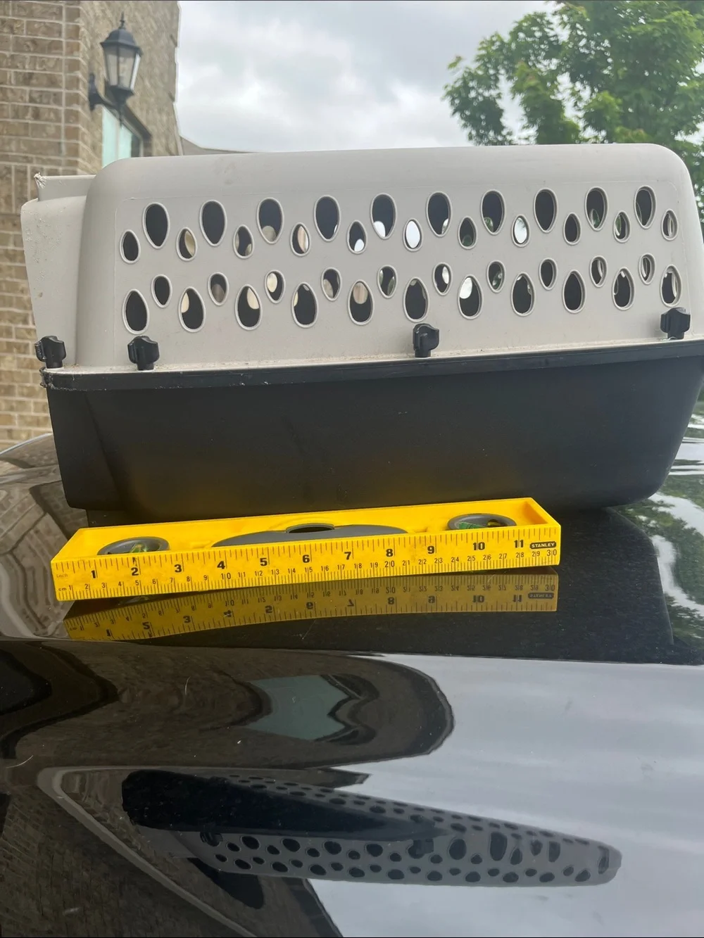 DONATED Two-Tone Plastic Pet Carrier with Ventilation Holes